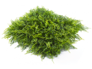 Декоративен панел green wall 50*50