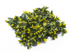 Декоративен панел green wall 50/50